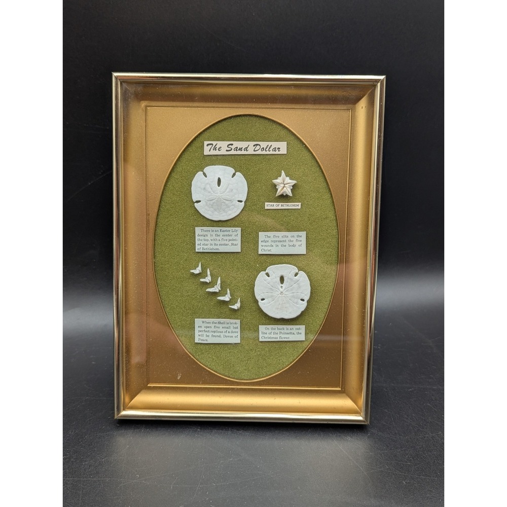RARE Gold-Tone Shadow Box Frame Sand Dollars Handmade Art Christian Meaning